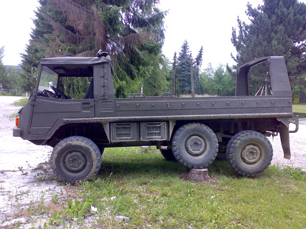 Pinzgauer Peter 2
